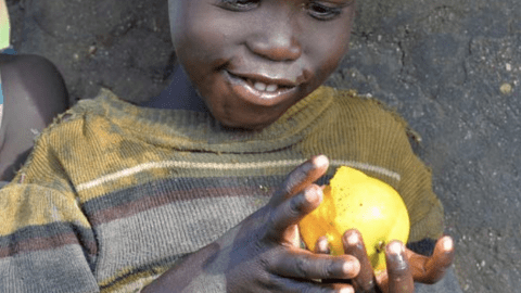 child holds an apple